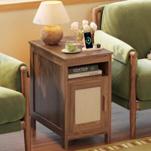 Walnut Rattan End Table With Cabinet